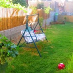 בית שמאי3-טלחופש